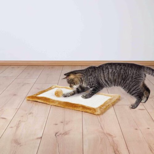 Le tapis une solution efficace comme lime griffe !