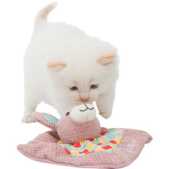 Coussin valériane chat et chaton My Valerian