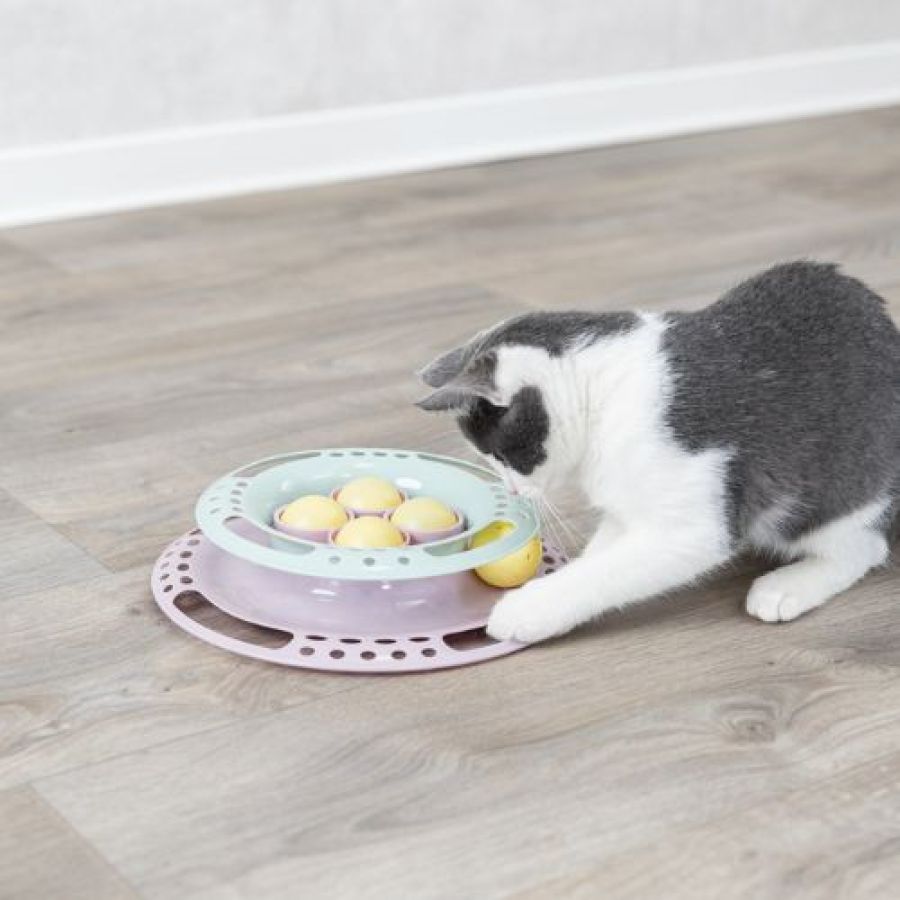 Jouet Junior Kitten Circle