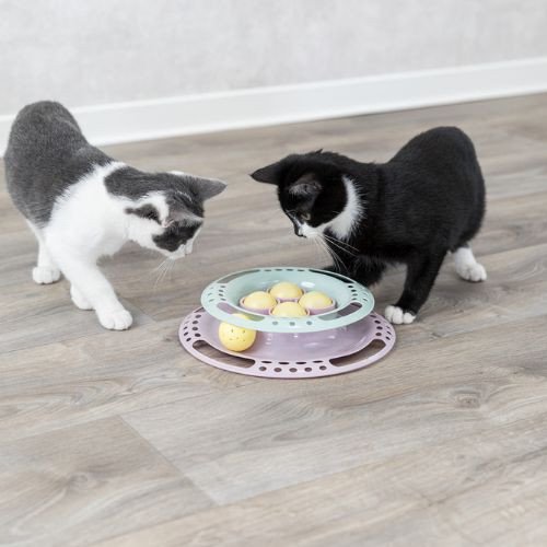 Jouet Junior Kitten Circle