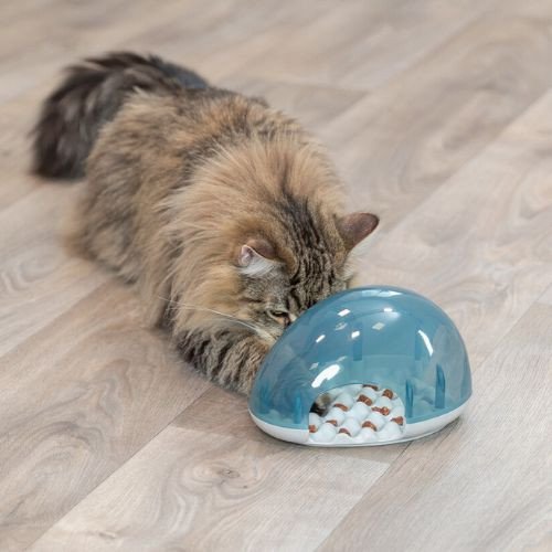 Jeu d'intelligence Snack Box pour chat