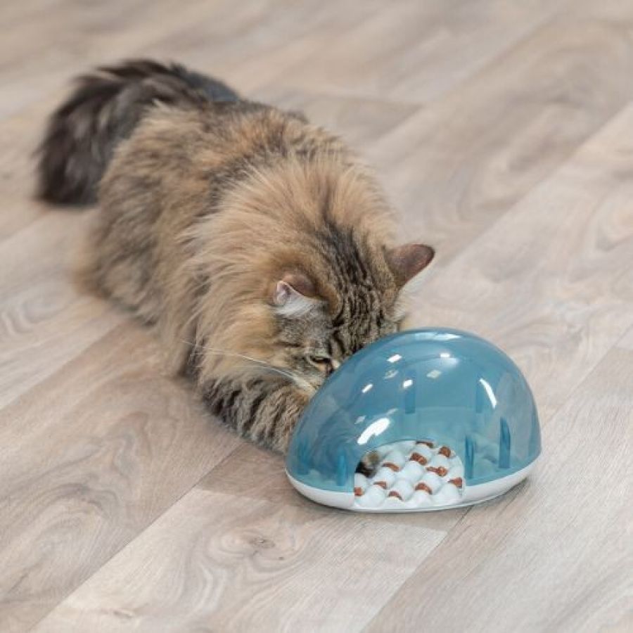 Jeu d'intelligence Snack Box pour chat