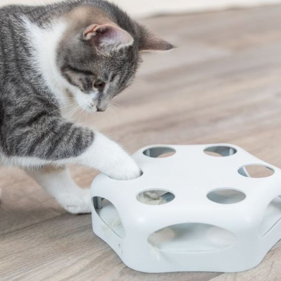 Jouet Turning Feather