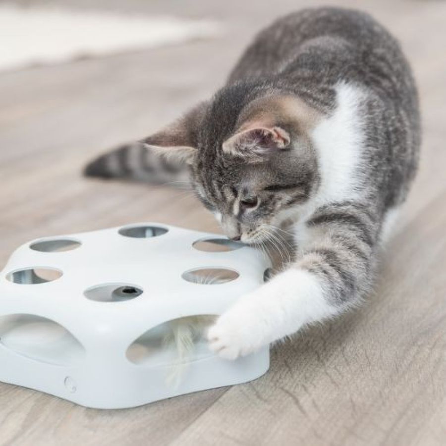 Jouet Turning Feather