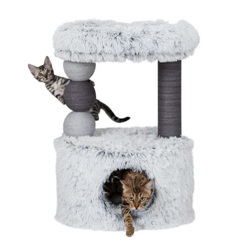 Arbres à chats originaux avec panier anti stress Harvey