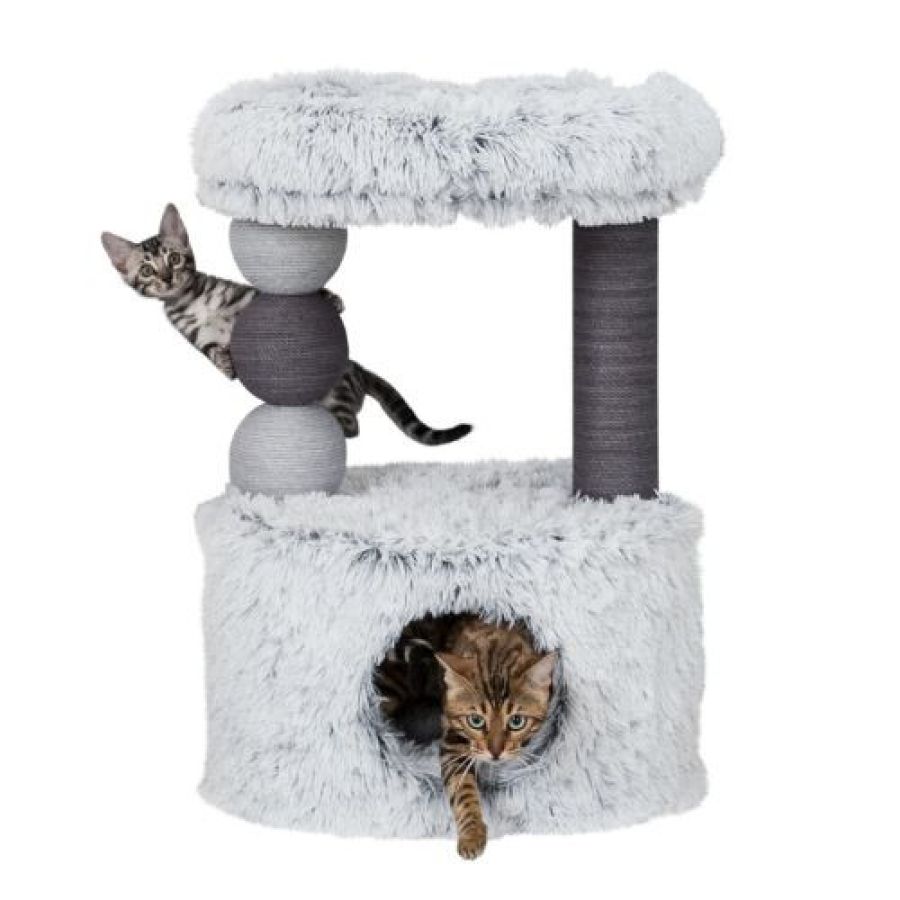 Arbres à chats originaux avec panier anti stress Harvey