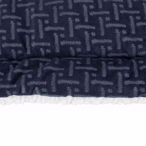 Dôme Ferris bleu