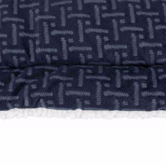 Dôme Ferris bleu