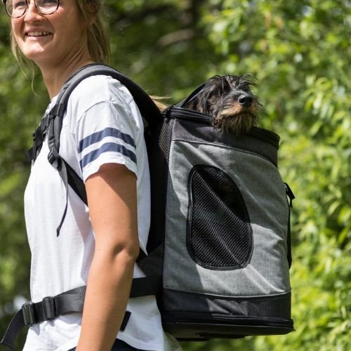 Sac à dos Timon pour chien et chat : 10 ou 12 kg max