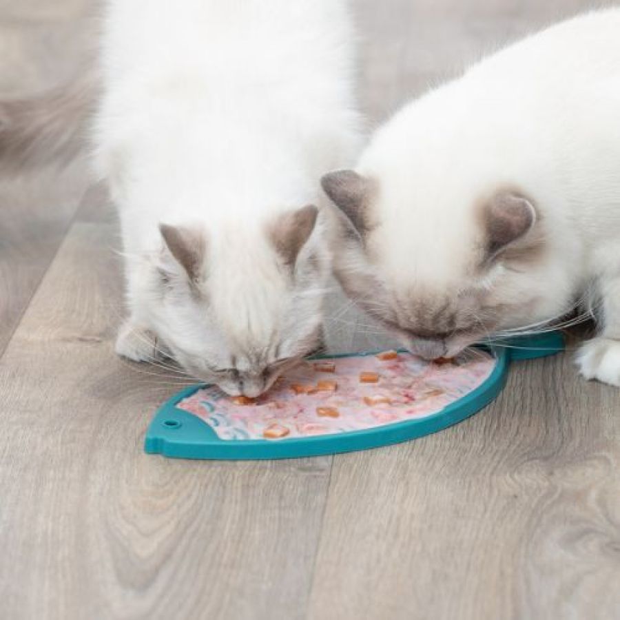 Tapis de léchage anti glouton, anti stress poisson Chat