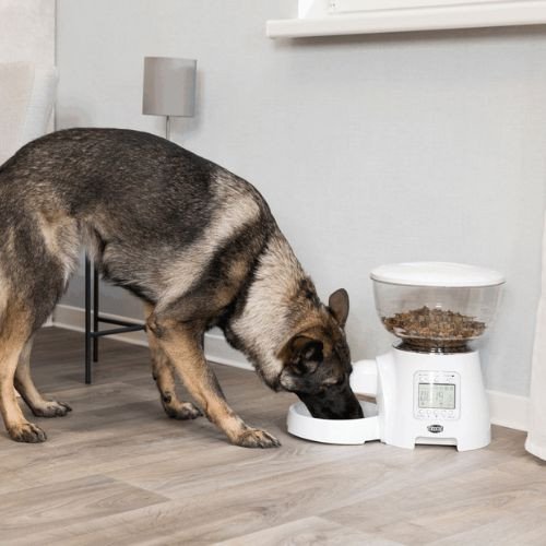 Distributeur automatique croquettes TX7