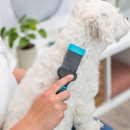 Brosse souple à tête flexible