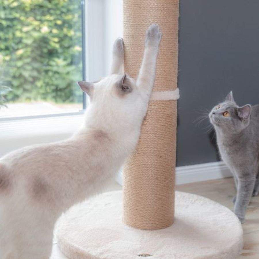 Arbre à chat original avec panier Boho