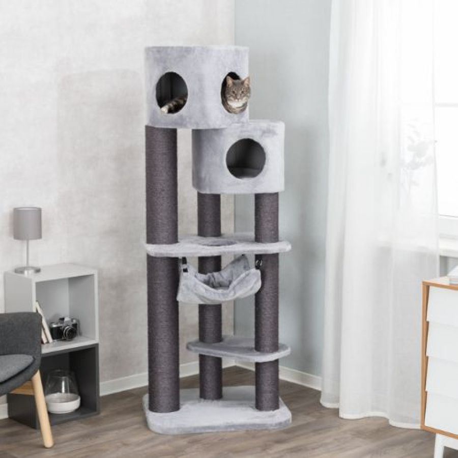 Arbre à chat XXL Maine Coon, hamac, design, Pirro