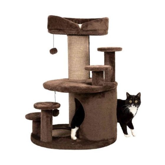 176520_PHO_PRO_CAT_CLIP_44930-1.jpg