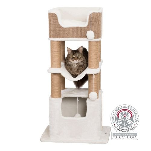 Arbre à chat XXL, solide, grand chat Lucano