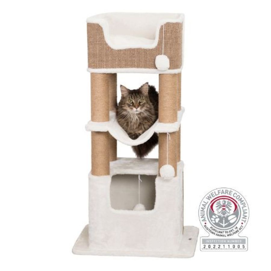 Arbre à chat XXL, solide, grand chat Lucano