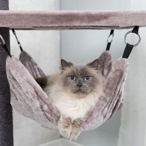 Arbre à chat XXL, hamac, gros chat, Maine Coon Ramon