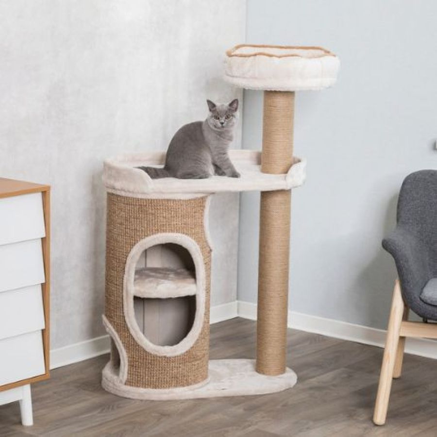 Arbre à chat XXL design Falco