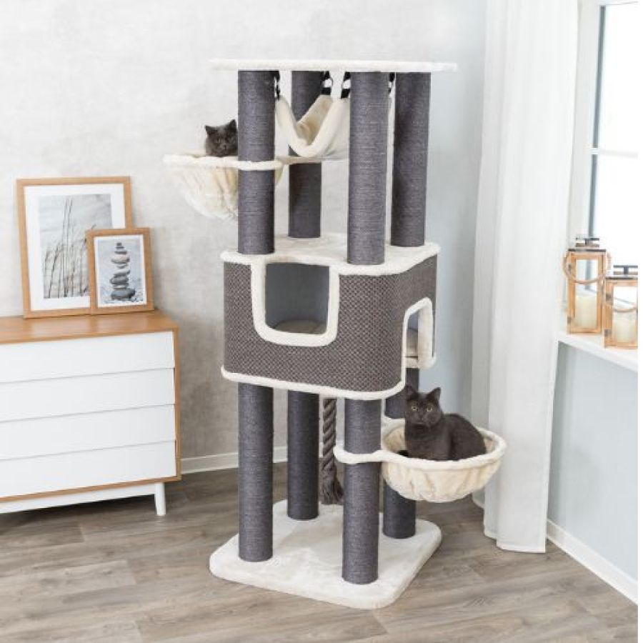 Grand Arbre à chat : hamac, XXL, solide, 174 cm Humberto