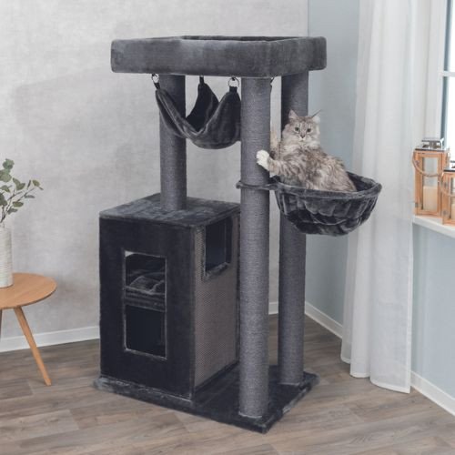 Arbre à chat solide : XXL, pour chat adulte, hamac, 163 cm  Amadeus