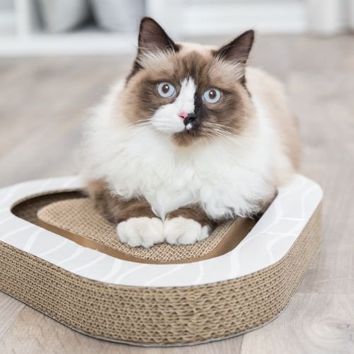 Plaque griffoir avec carton et balles pour chat