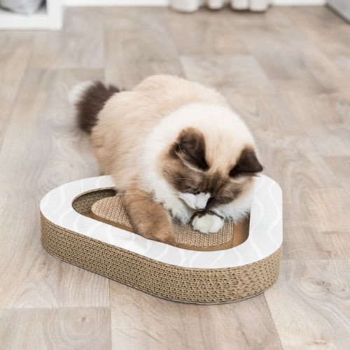 Plaque griffoir avec carton et balles pour chat