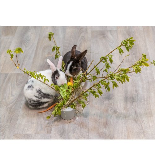 Mangeoire design en céramique et bois