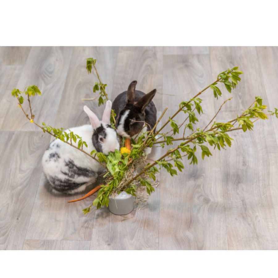 Mangeoire design en céramique et bois