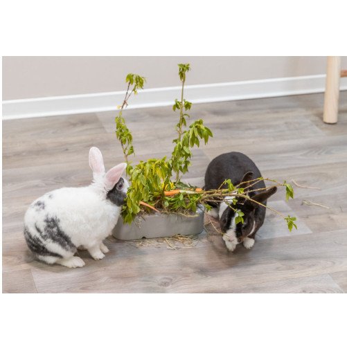 Mangeoire design en céramique et bois