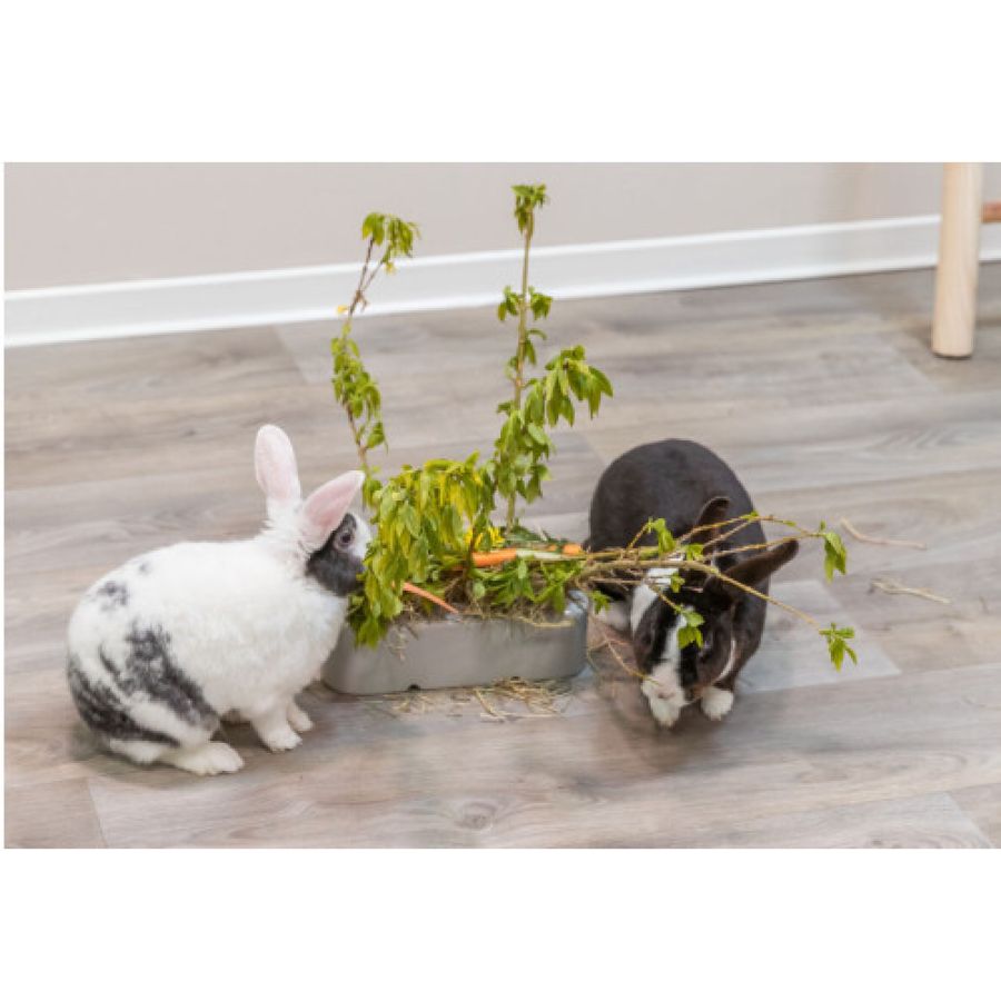 Mangeoire design en céramique et bois