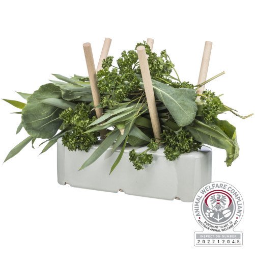 Mangeoire design en céramique et bois