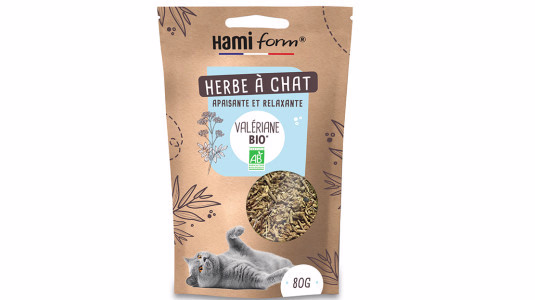 La valériane comme attractif pour chat