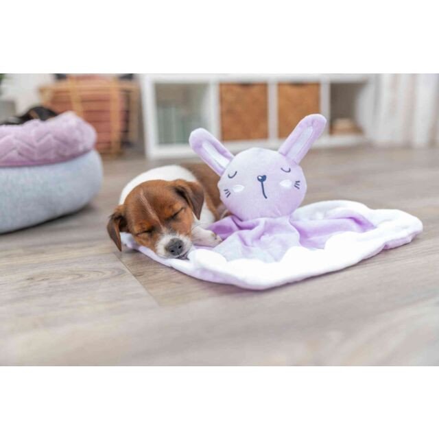 Pourquoi un chiot a-t-il besoin d'un doudou ?