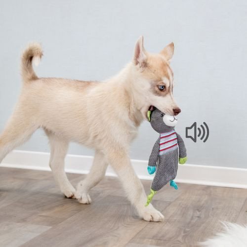 Quel jouet pour occuper un chiot, comment éviter qu'il s'ennuie ?