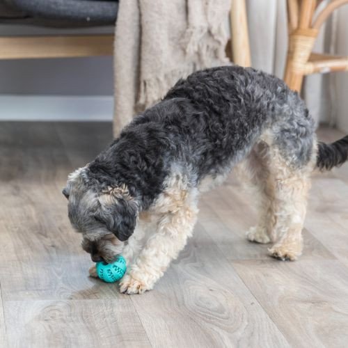 Balle baseball Denta Fun Mintfresh