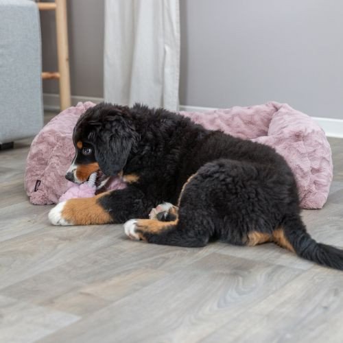 Panier orthopédique chien : mémoire de forme, couchage confortable Loki ROSE