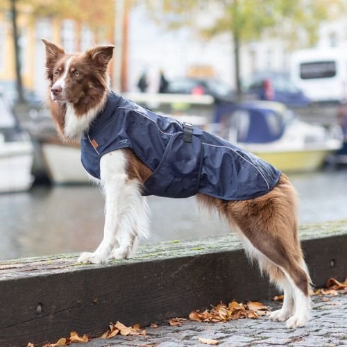 Imperméable Be Nordic Husum pour chien bleu foncé