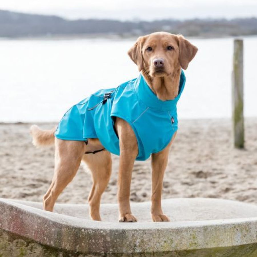 Manteau Imperméable pour chien Vimy Bleu