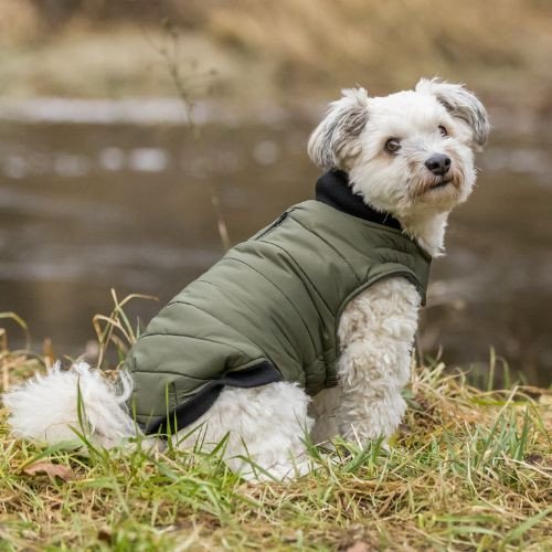Manteau pour chien Arlay vert foncé