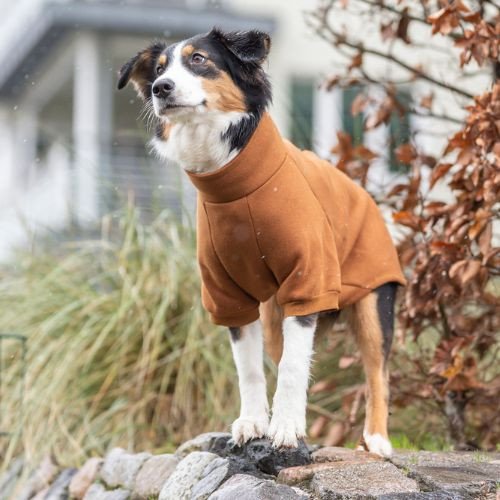 Sweat chien : Intérieur chauffant, passage harnais, Amsterdam