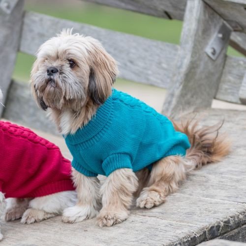 Pull Kenton turquoise