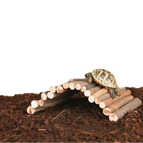 Pont en bois pour cochon d'Inde et chinchilla