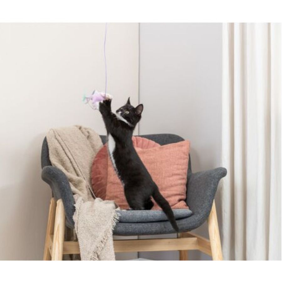 Canne à pêche pour chaton étoile