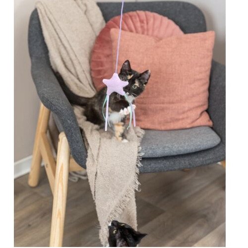 Canne à pêche pour chaton étoile