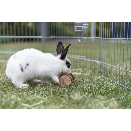 Quel est est le jeu préféré des lapins nains ?