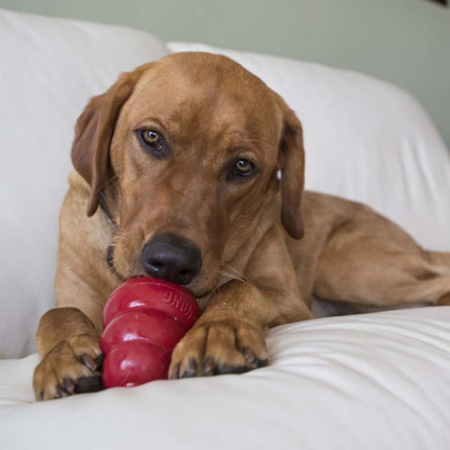 Friandises snack KONG beurre de cacahuètes