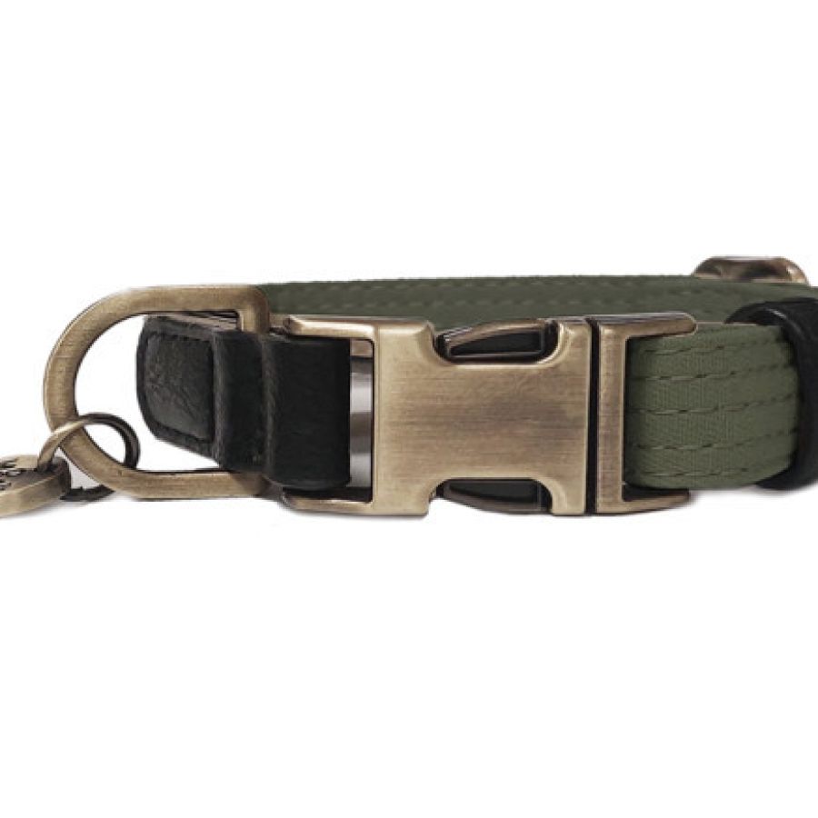 Collier réglable DAWSON kaki pour chien