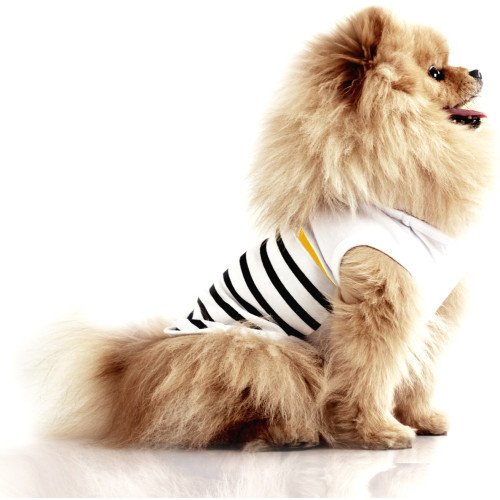 T-shirt pour chien Marinière bleu marine