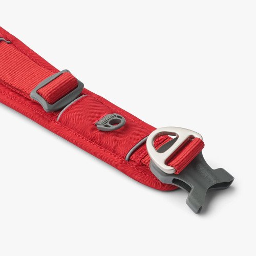 Collier large urban explorer ROUGE pour chien